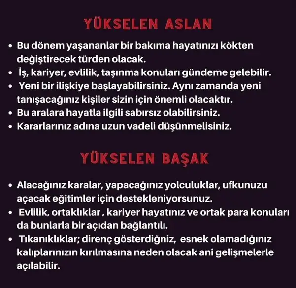 boğa7 (4).webp