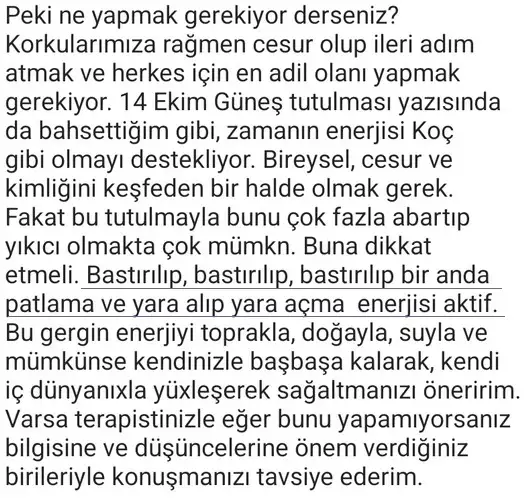 boğa7 (4).webp