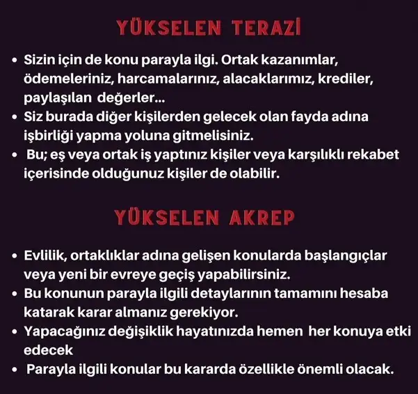 boğa7 (5).webp