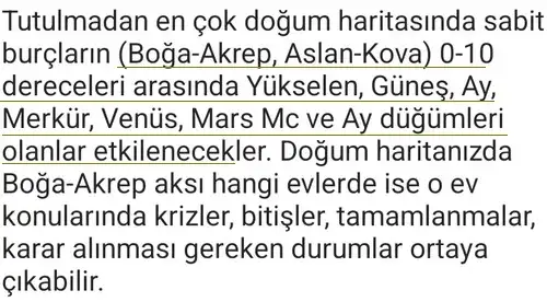 boğa7 (5).webp