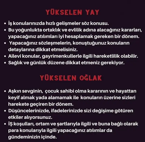boğa7 (6).webp