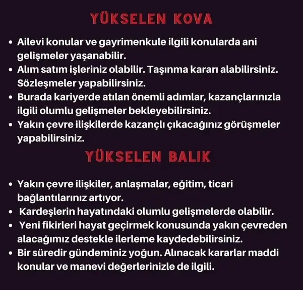 boğa7 (7).webp