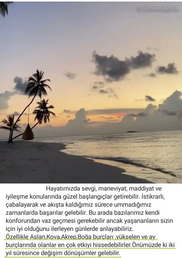 boğa7.webp