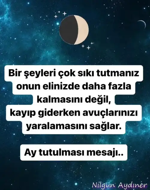 boğa7.webp