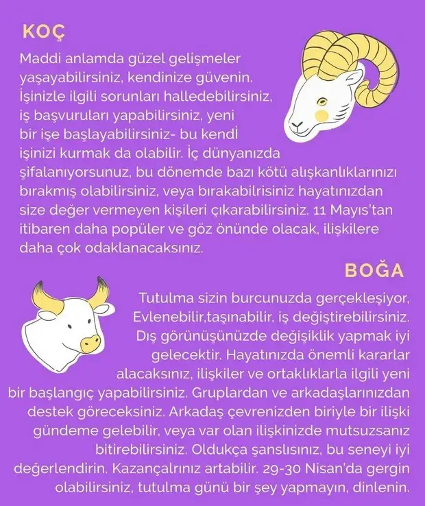 boğa8 (2).webp