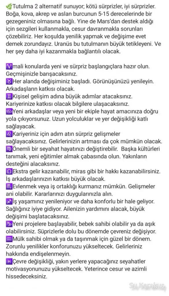 boğa8.webp