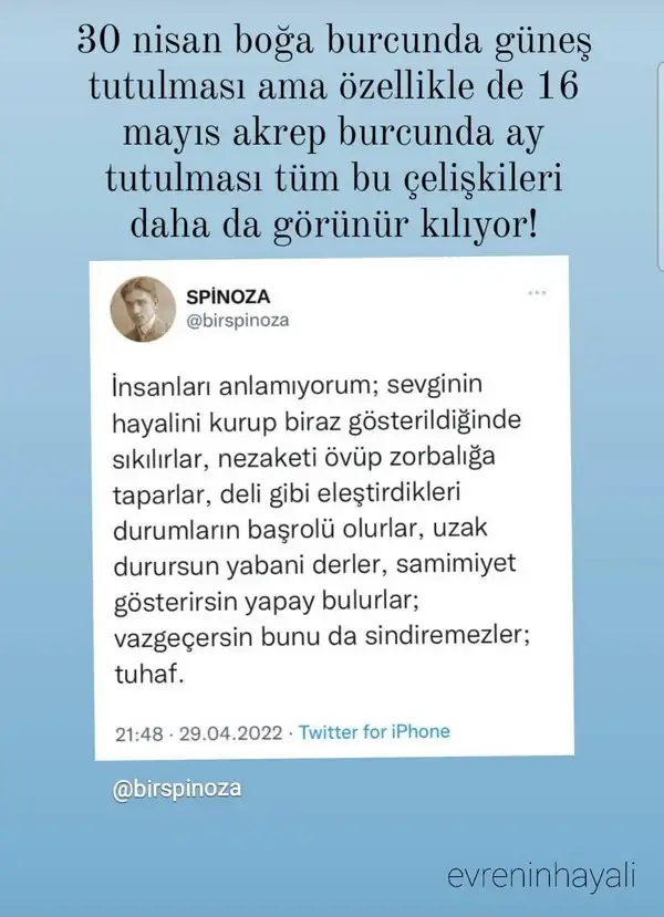 boğa8.webp