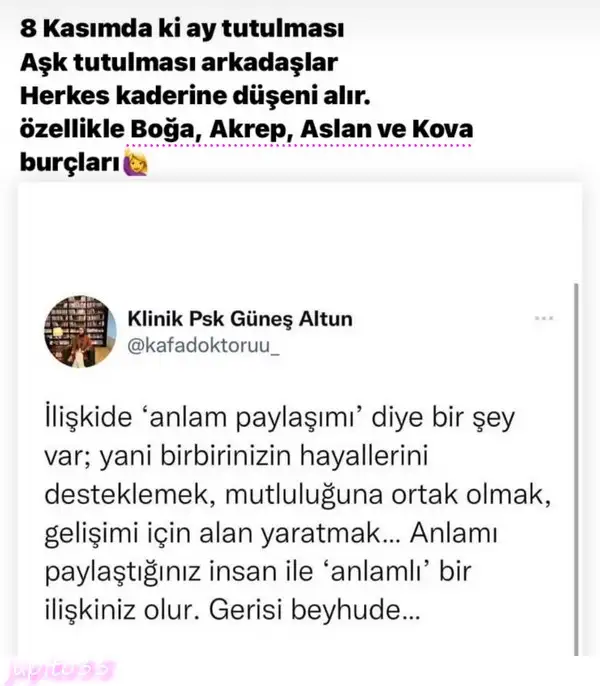 boğa8.webp