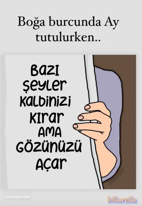 boğa8.webp