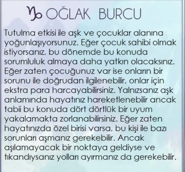 boğa80 (10).webp
