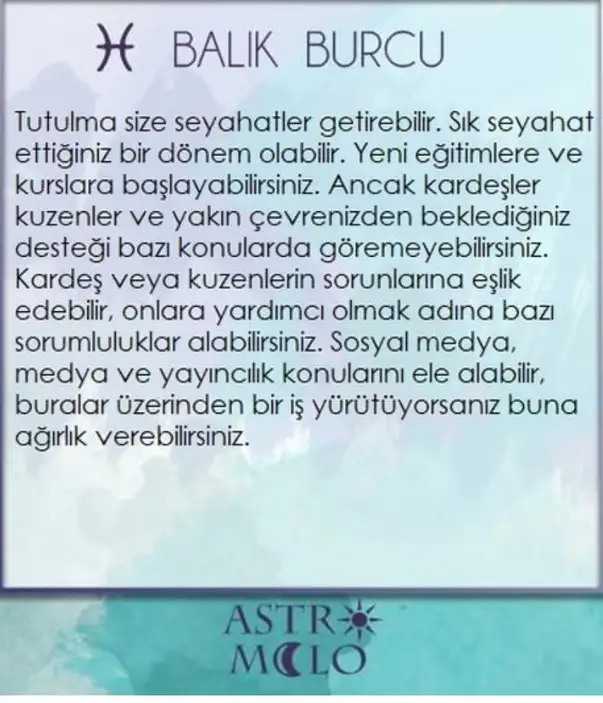boğa80 (12).webp
