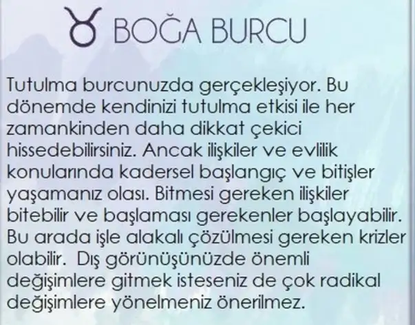 boğa80 (2).webp