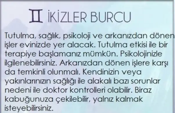 boğa80 (3).webp
