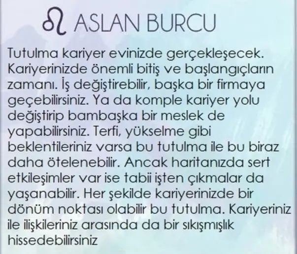 boğa80 (5).webp