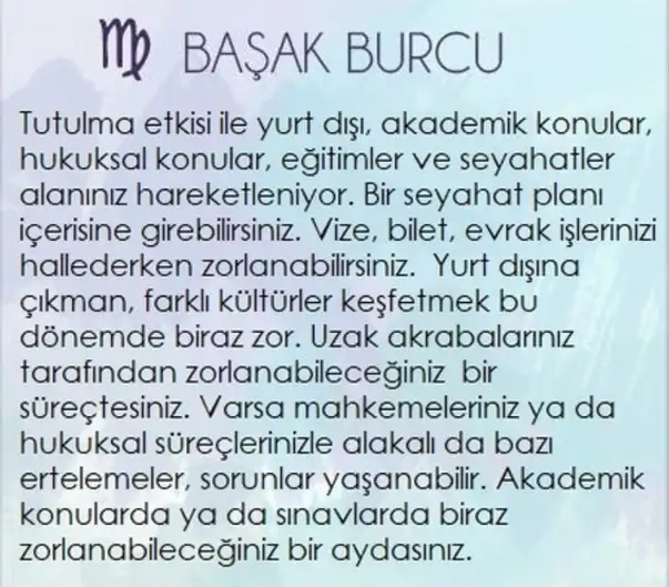 boğa80 (6).webp
