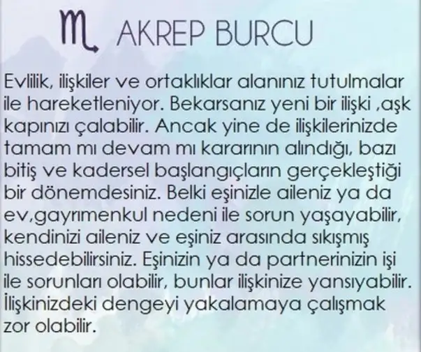 boğa80 (8).webp