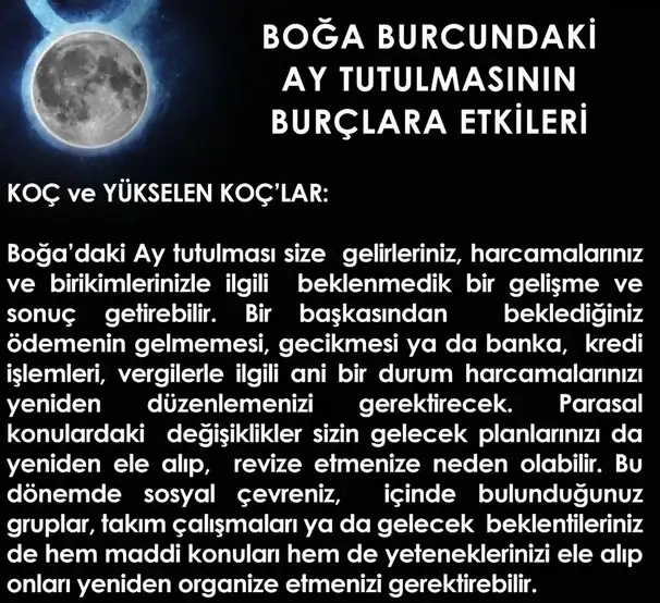 boğa82 (1).webp