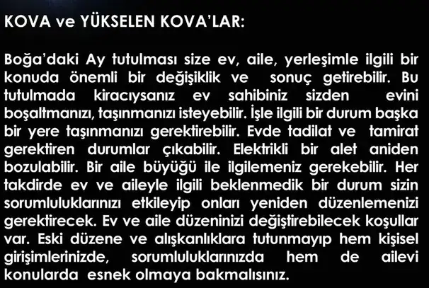 boğa82 (11).webp