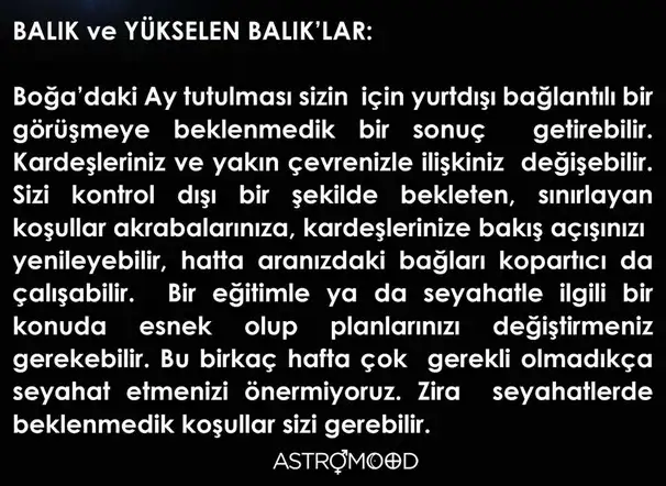 boğa82 (12).webp