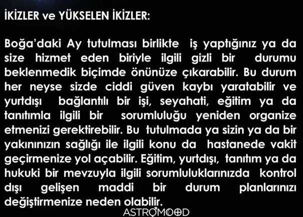 boğa82 (3).webp