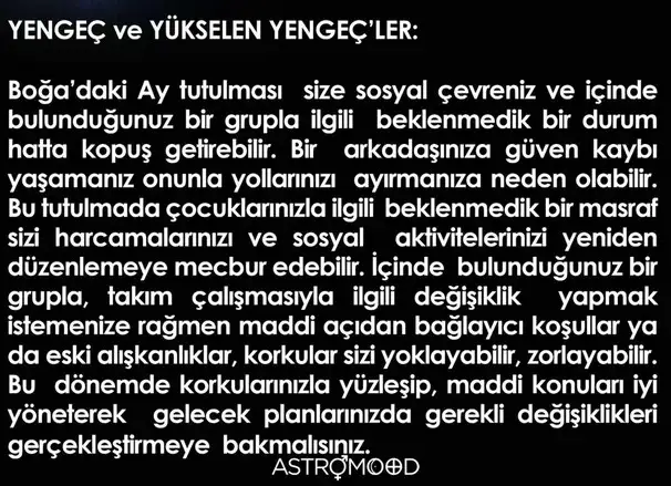 boğa82 (4).webp