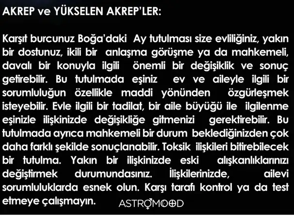 boğa82 (8).webp