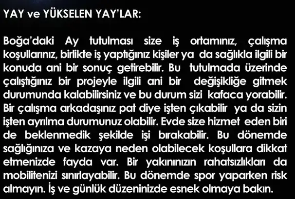 boğa82 (9).webp