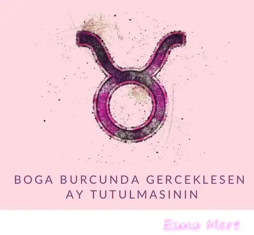 boğa84 (1).webp