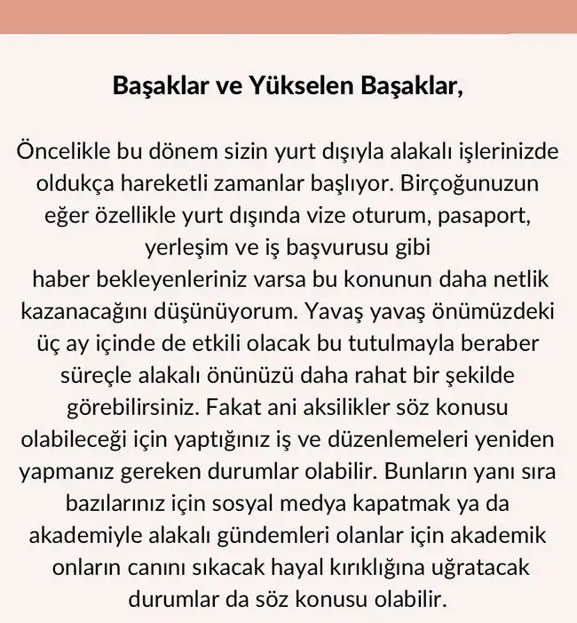 boğa84 (12).webp