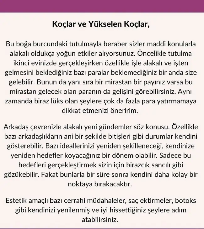 boğa84 (2).webp