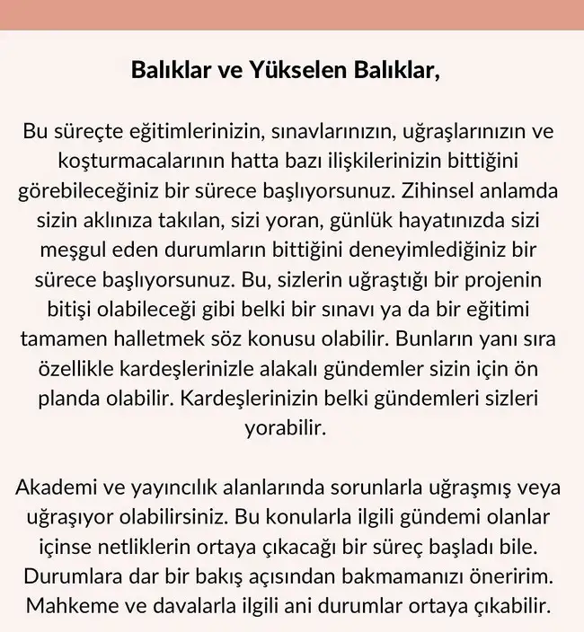 boğa84 (24).webp