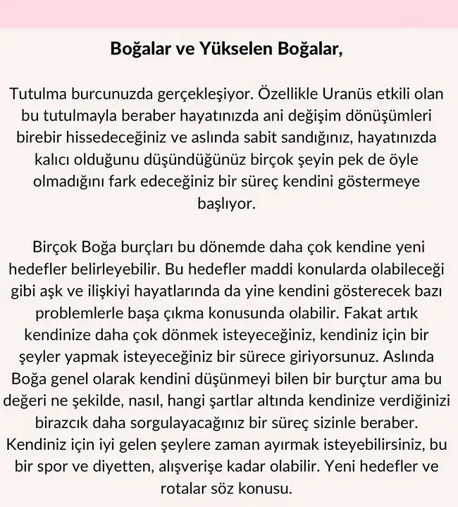 boğa84 (4).webp