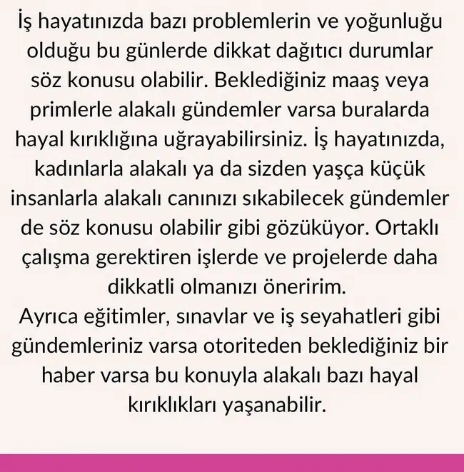 boğa84 (7).webp
