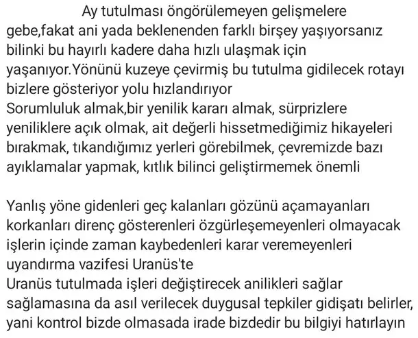 boğa85 (2).webp