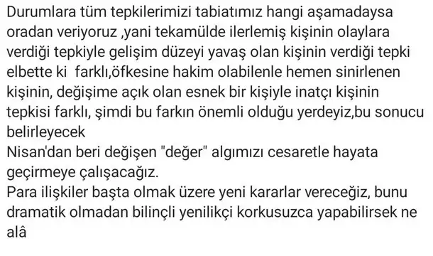 boğa85 (3) - Kopya.webp
