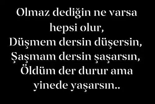 boğa86 - Kopya.webp