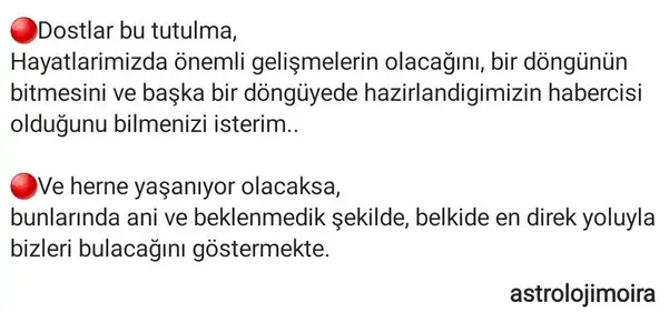 boğa86.webp
