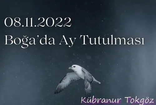 boğa87 (1).webp