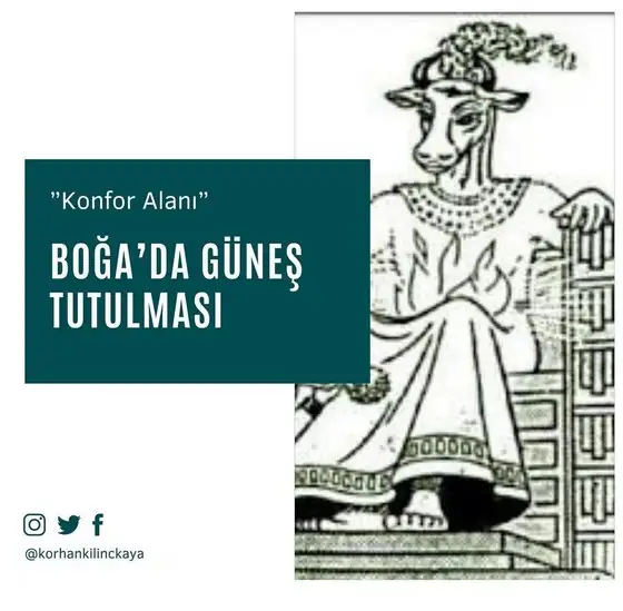 boğa9 (1).webp