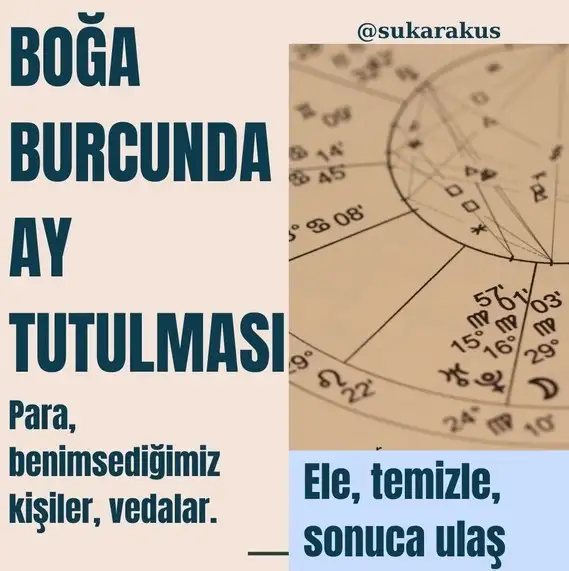 boğa9 (1).webp