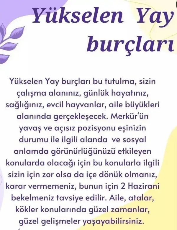 boğa9 (10).webp