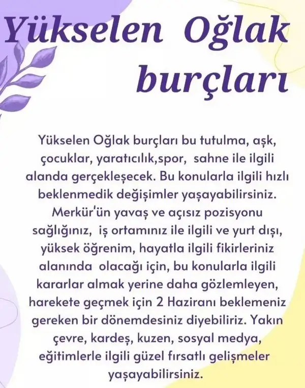 boğa9 (11).webp