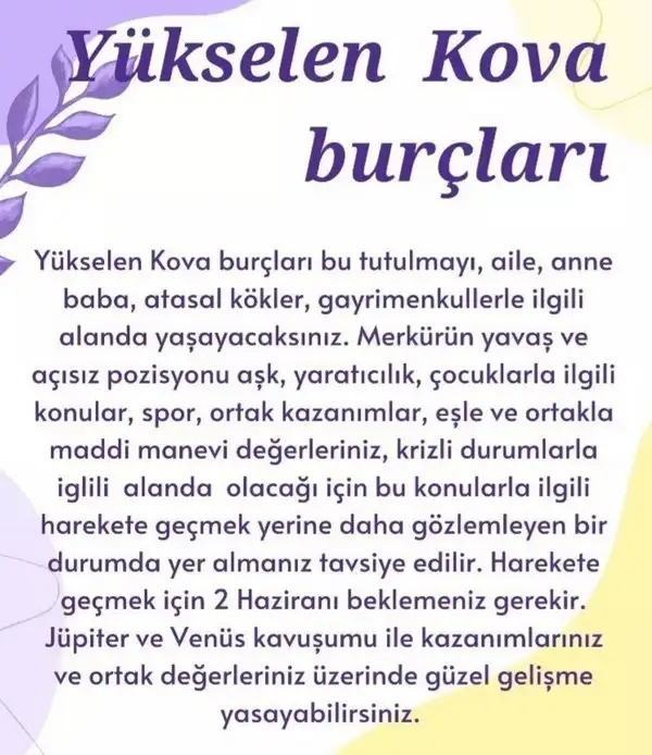 boğa9 (12).webp