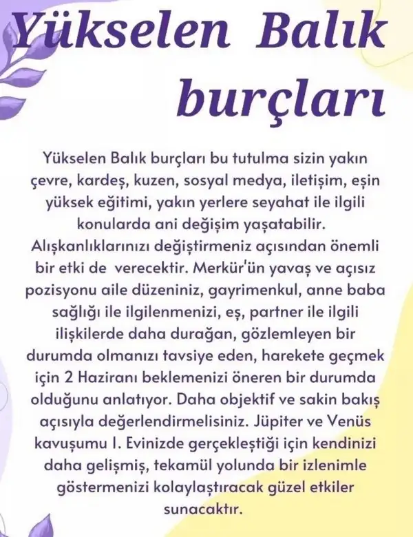 boğa9 (13).webp