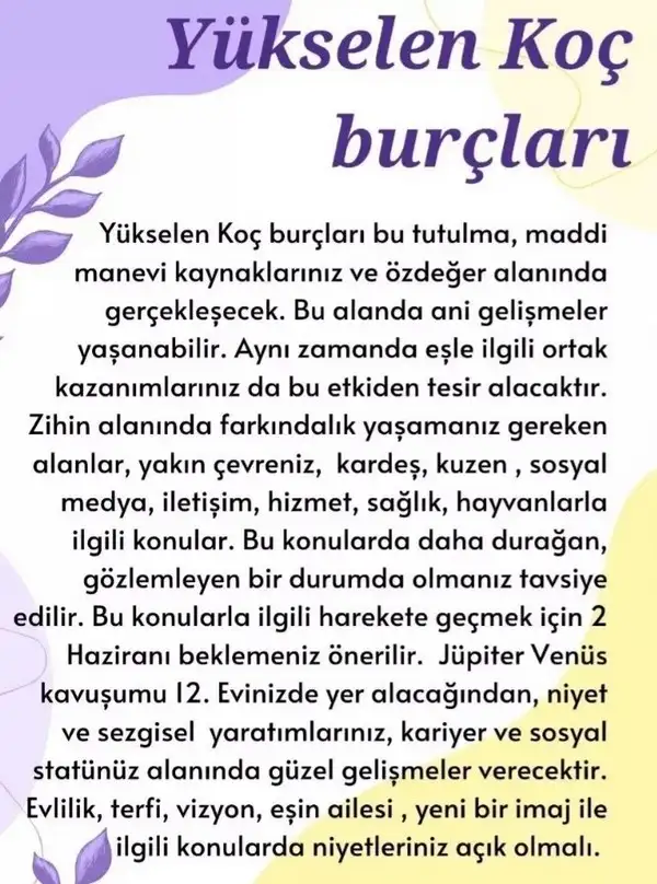 boğa9 (2).webp