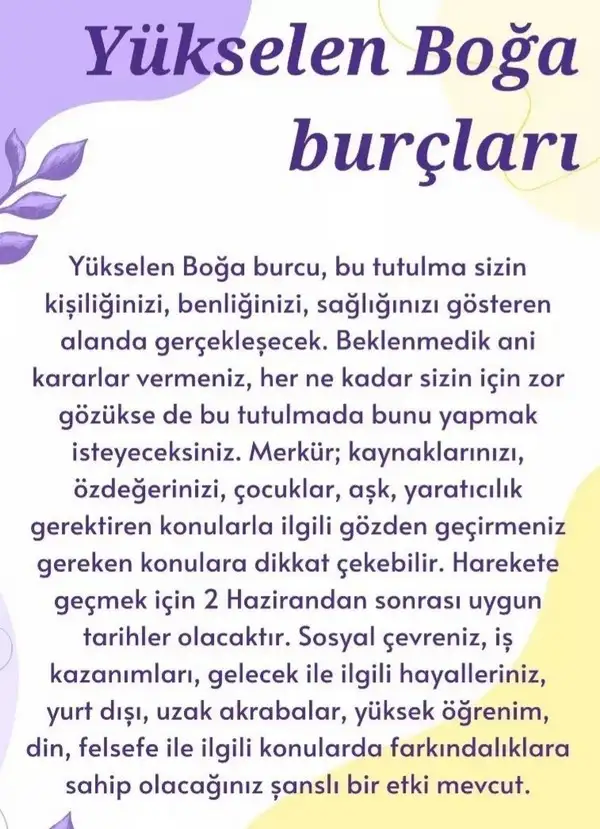 boğa9 (3).webp
