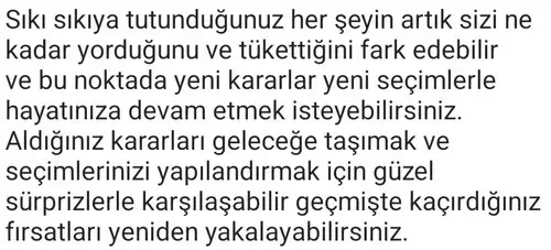 boğa9 (3).webp