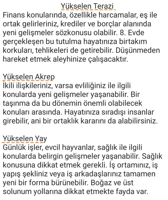 boğa9 (4).webp