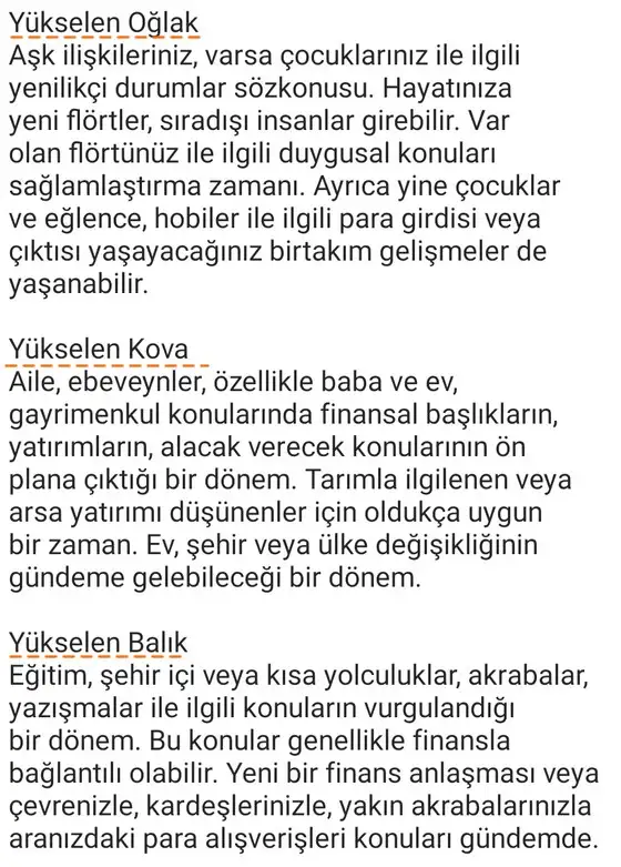 boğa9 (5).webp
