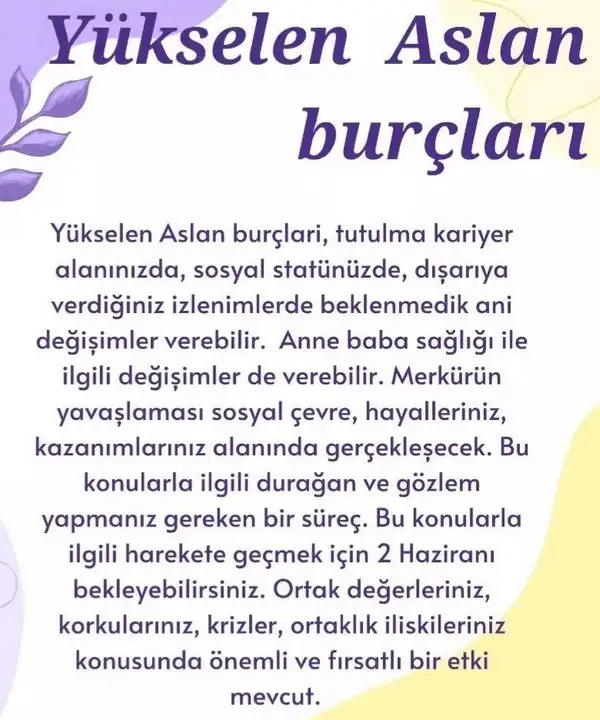 boğa9 (6).webp